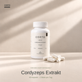 Focus | Premium Cordyzeps Kapseln